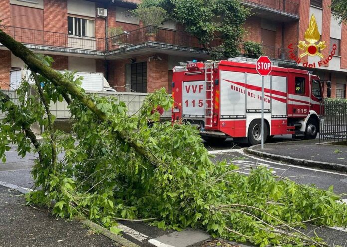 VIGILI-DEL-FUOCO-AL-LAVORO.jpeg